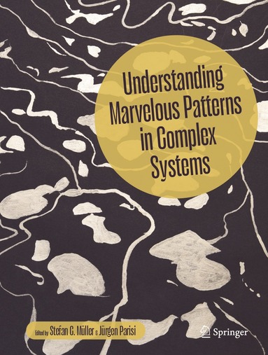 Stefan C. Müller, Jürgen Parisi - Understanding Marvelous Patterns in Complex Systems, Inbunden