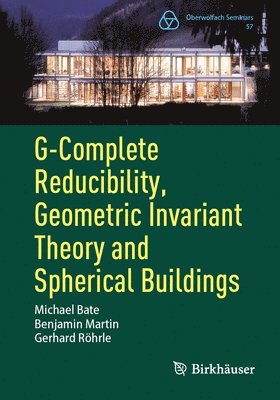 Michael Bate, Benjamin Martin, Gerhard Röhrle - G-Complete Reducibility, Geometric Invariant Theory and Spherical Buildings, Häftad