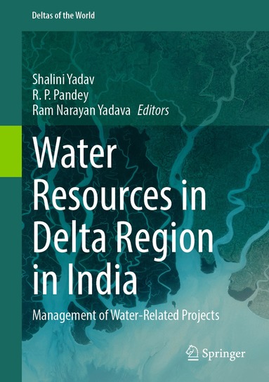 Shalini Yadav, R. P. Pandey, Ram Narayan Yadava - Water Resources in Delta Region in India, Inbunden