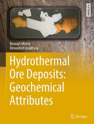 Biswajit Mishra, Dewashish Upadhyay - Hydrothermal Ore Deposits: Geochemical Attributes, Inbunden