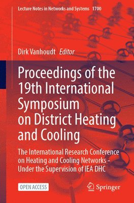 Dirk Vanhoudt - Proceedings of the 19th International Symposium on District Heating and Cooling, Häftad
