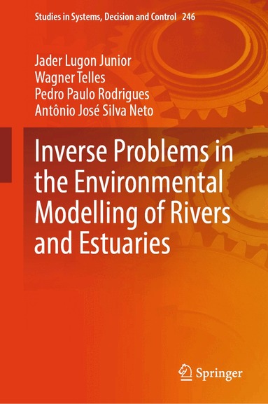 Jader Lugon Junior, Wagner Telles, Pedro Paulo Rodrigues, Antônio José Silva Neto - Inverse Problems in the Environmental Modelling of Rivers and Estuaries, Inbunden