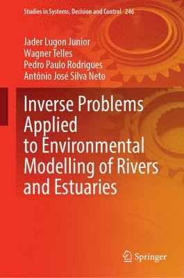 Jader Lugon Junior, Wagner Telles, Pedro Paulo Rodrigues, Antônio José Silva Neto - Inverse Problems Applied to Environmental Modelling of Rivers and Estuaries, Inbunden