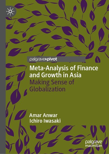 Amar Anwar, Ichiro Iwasaki - Meta-Analysis of Finance and Growth in Asia, Inbunden