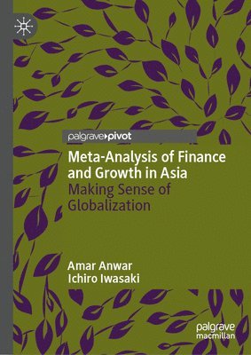 Amar Anwar, Ichiro Iwasaki - Meta-Analysis of Finance and Growth in Asia, Inbunden