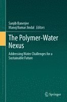 Sanjib Banerjee, Manoj Kumar Jindal - Polymer-Water Nexus, Inbunden