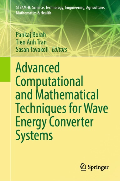 Pankaj Borah, Tien Anh Tran, Sasan Tavakoli - Advanced Computational and Mathematical Techniques for Wave Energy Converter Systems, Inbunden