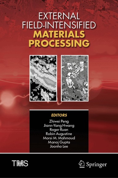 Zhiwei Peng, Jiann-Yang Hwang, Roger Ruan, Robin Augustine, Morsi M. Mahmoud, Manoj Gupta, Joonho Lee - External Field-Intensified Materials Processing, Inbunden