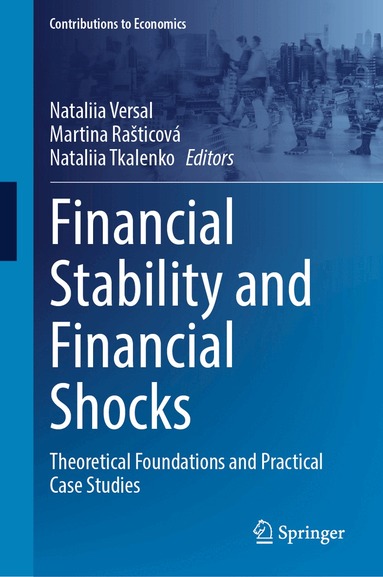 Nataliia Versal, Martina Rašticová, Nataliia Tkalenko - Financial Stability and Financial Shocks, Inbunden