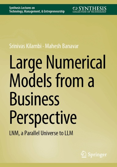 Srinivas Kilambi, Mahesh Banavar - Large Numerical Models from a Business Perspective, Inbunden