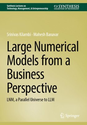 Large Numerical Models from a Business Perspective
