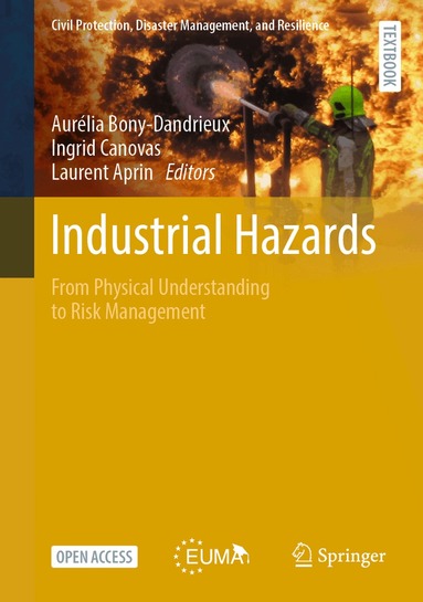 Aurélia Bony-Dandrieux, Ingrid Canovas, Laurent Aprin - Industrial Hazards, Inbunden