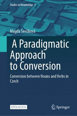 A Paradigmatic Approach to Conversion