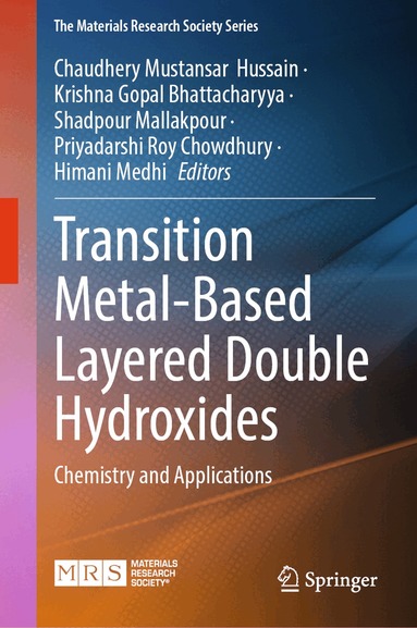 Chaudhery Mustansar Hussain, Krishna Gopal Bhattacharyya, Shadpour Mallakpour, Priyadarshi Roy Chowdhury, Himani Medhi - Transition Metal-Based Layered Double Hydroxides, Inbunden