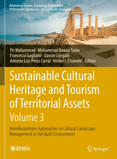 Pir Mohammad, Muhammad Nawaz Tunio, Francesca Gagliardi, Davide Longato, Antonio Luis Pérez Corral, Helder I. Chaminé - Sustainable Cultural Heritage and Tourism of Territorial Assets (- Vol. 3), Inbunden
