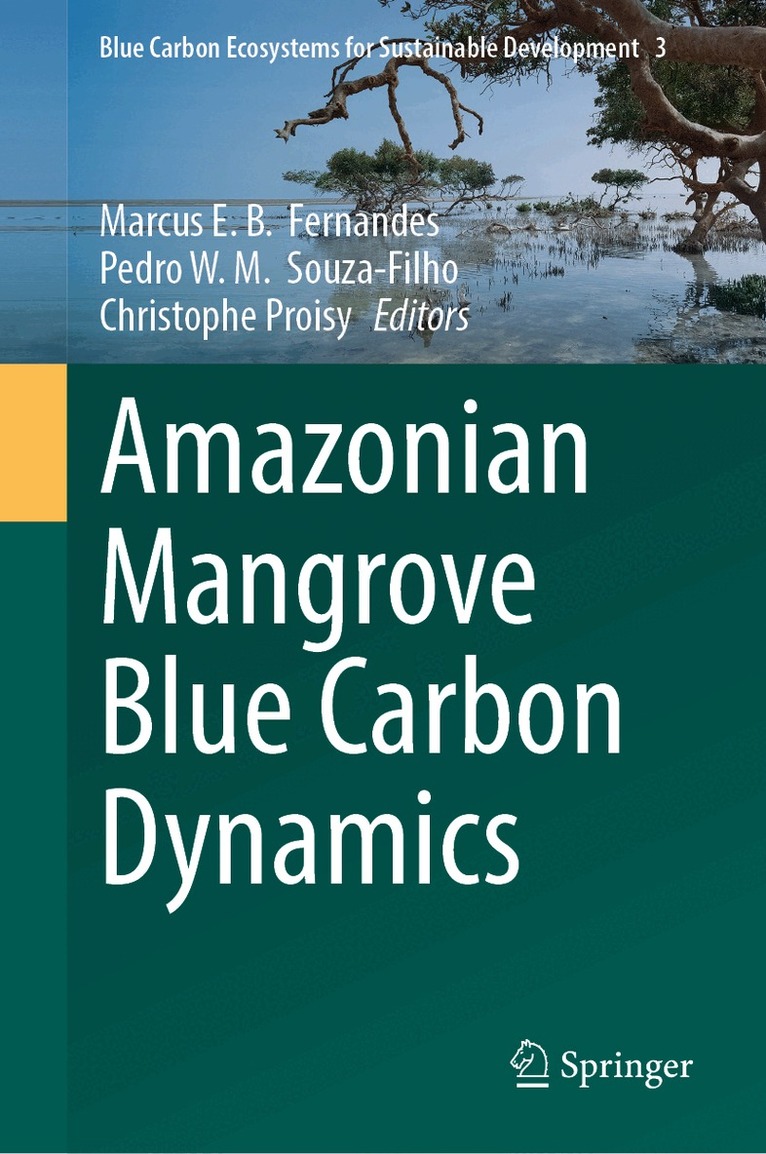 Amazonian Mangrove Blue Carbon Dynamics