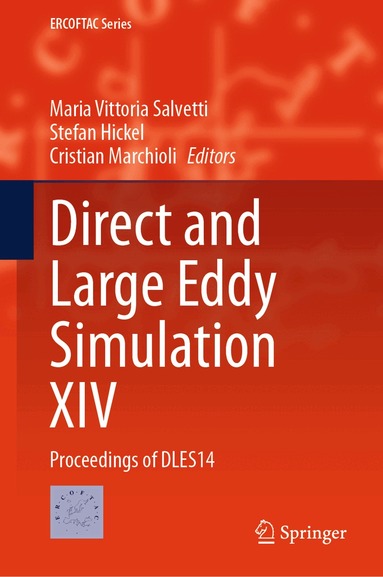 Maria Vittoria Salvetti, Stefan Hickel, Cristian Marchioli - Direct and Large Eddy Simulation XIV, Inbunden