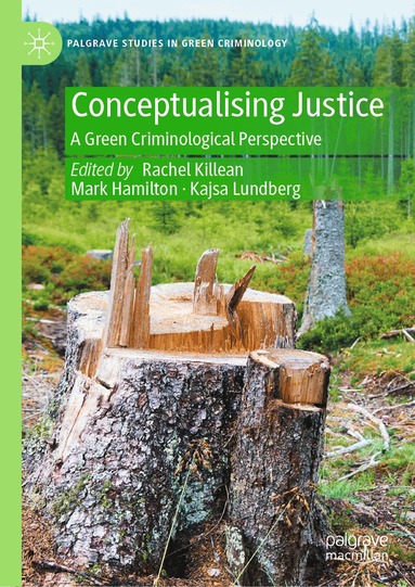 Rachel Killean, Mark Hamilton, Kajsa Lundberg - Conceptualising Justice, Inbunden