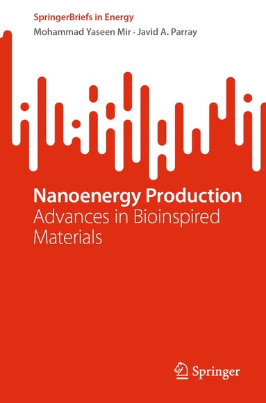 Mohammad Yaseen Mir, Javid A. Parray - Nanoenergy Production, Häftad