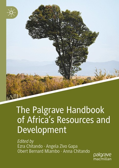 Ezra Chitando, Angela Zivo Gapa, Obert Bernard Mlambo, Anna Chitando - Palgrave Handbook of Africa’s Resources and Development, Inbunden