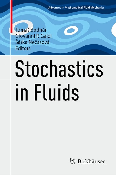 Tomáš Bodnár, Giovanni P. Galdi, Šárka Nečasová - Stochastics in Fluids, Inbunden
