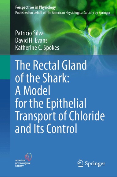 Patricio Silva, David H. Evans, Katherine C. Spokes - Rectal Gland of the Shark: A Model for the Epithelial Transport of Chloride and Its Control, Inbunden