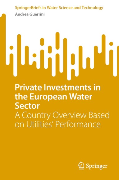 Andrea Guerrini - Private Investments in the European Water Sector, Häftad