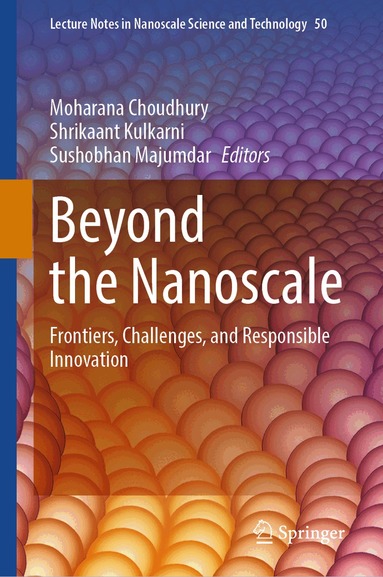 Moharana Choudhury, Shrikaant Kulkarni, Sushobhan Majumdar - Beyond the Nanoscale, Inbunden