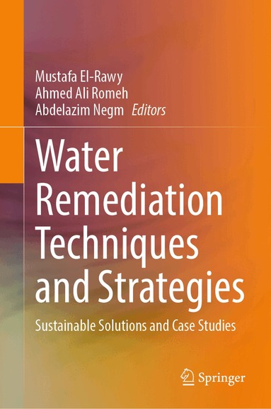 Mustafa El-Rawy, Ahmed Ali Romeh, Abdelazim Negm - Water Remediation Techniques and Strategies, Inbunden