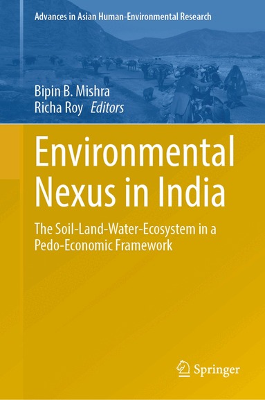 Bipin B. Mishra, Richa Roy - Environmental Nexus in India, Inbunden