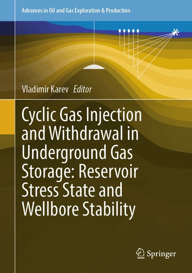 Vladimir Karev - Cyclic Gas Injection and Withdrawal in Underground Gas Storage: Reservoir Stress State and Wellbore Stability, Inbunden