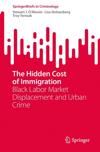 Stewart J. D’Alessio, Lisa Stolzenberg, Troy Teresak - Hidden Cost of Immigration, Häftad