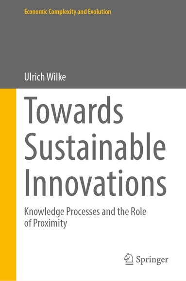 Ulrich Wilke - Towards Sustainable Innovations, Inbunden