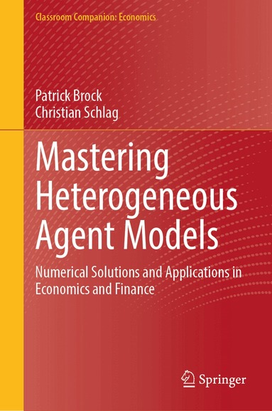 Patrick Brock, Christian Schlag - Mastering Heterogeneous Agent Models, Inbunden