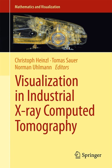 Christoph Heinzl, Tomas Sauer, Norman Uhlmann - Visualization in Industrial X-ray Computed Tomography, Inbunden
