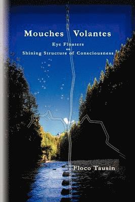 bokomslag Mouches Volantes - Eye Floaters as Shining Structure of Consciousness