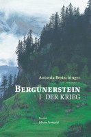 Antonia Bertschinger - Bergünerstein, Inbunden
