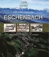 bokomslag 1250 Jahre Eschenbach