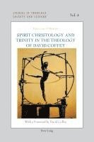 bokomslag Spirit Christology and Trinity in the Theology of David Coffey