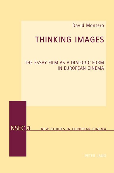 David Montero - Thinking Images, Häftad