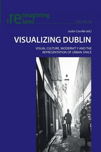 bokomslag Visualizing Dublin