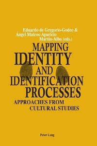 bokomslag Mapping Identity and Identification Processes