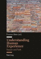 bokomslag Understanding Human Experience