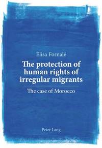 bokomslag The protection of human rights of irregular migrants