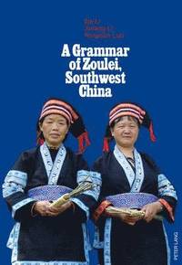bokomslag A Grammar of Zoulei, Southwest China