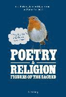 bokomslag Poetry & Religion