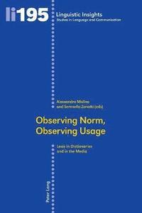bokomslag Observing Norm, Observing Usage