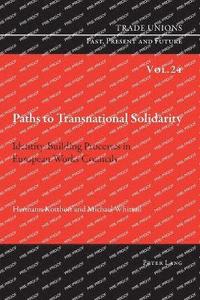 bokomslag Paths to Transnational Solidarity