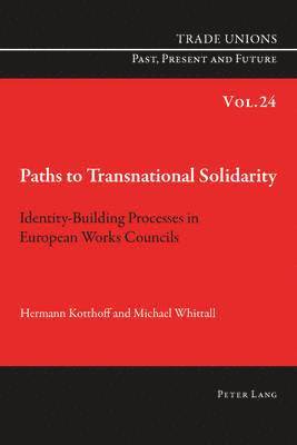 bokomslag Paths to Transnational Solidarity