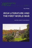 bokomslag Irish Literature and the First World War